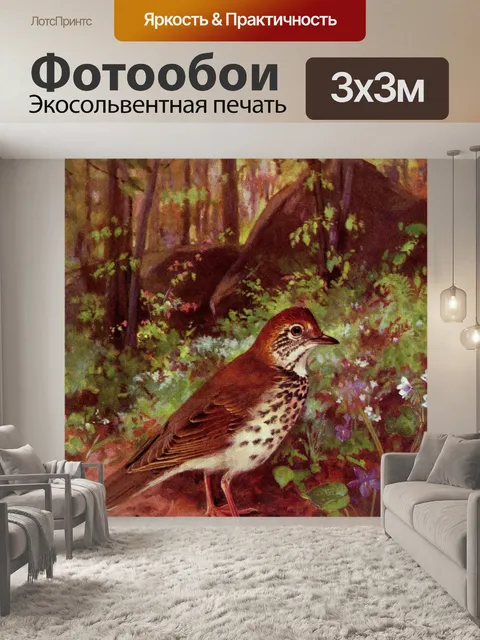 Фотообои Древесный дрозд Винтажная птица картина
