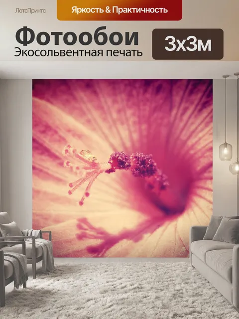 Фотообои Красивый цветок