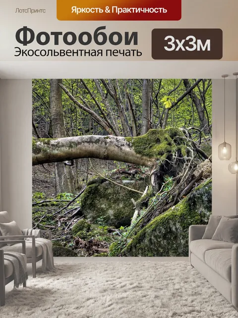 Фотообои Лес