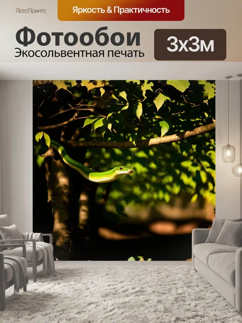Фотообои длинная зеленая змея ползет по веткам высоко в кронах деревьев