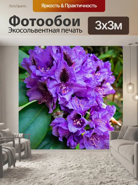 Фотообои Рододендрон