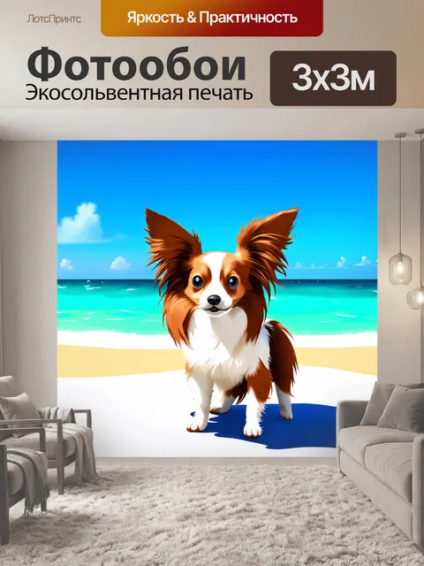 Фотообои элегантный папильон, стоящий на фоне яркого морского пейзажа, его прекрасные уши развиваются на ветру