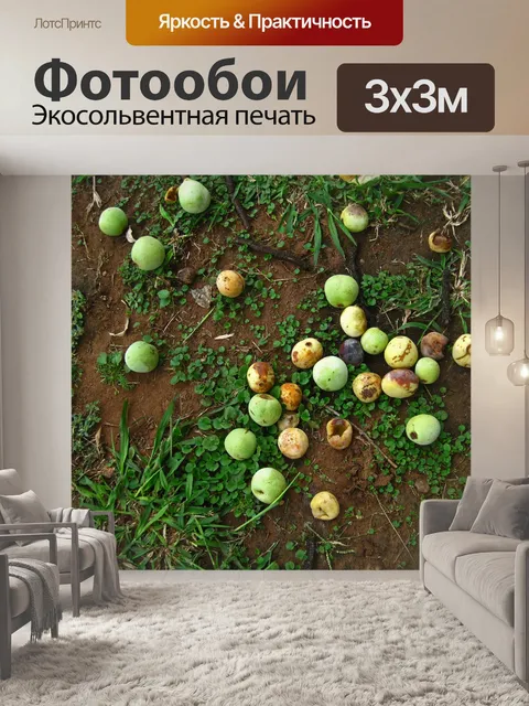 Фотообои опавшие спелые и зеленые плоды марулы