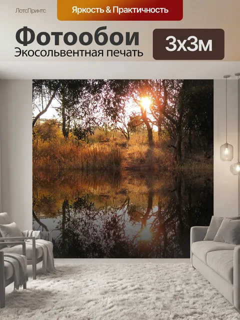 Фотообои отражение заходящего солнца
