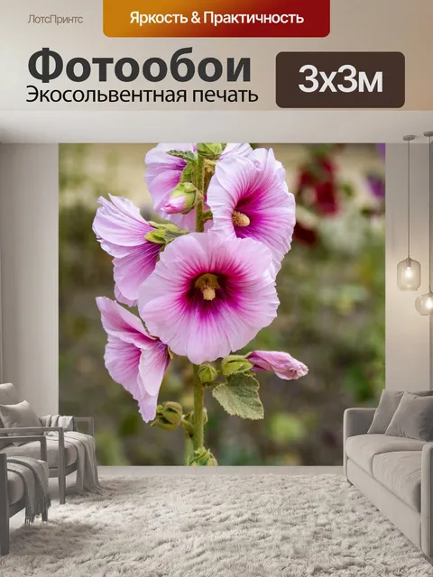 Фотообои Розовый Холлихок