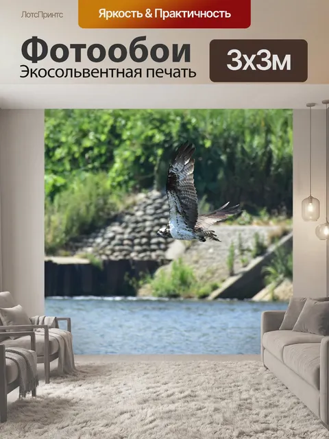 Фотообои Животное