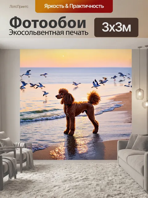 Фотообои милый пудель стоит на берегу моря, его шерсть нежно колышется от легкого ветерка