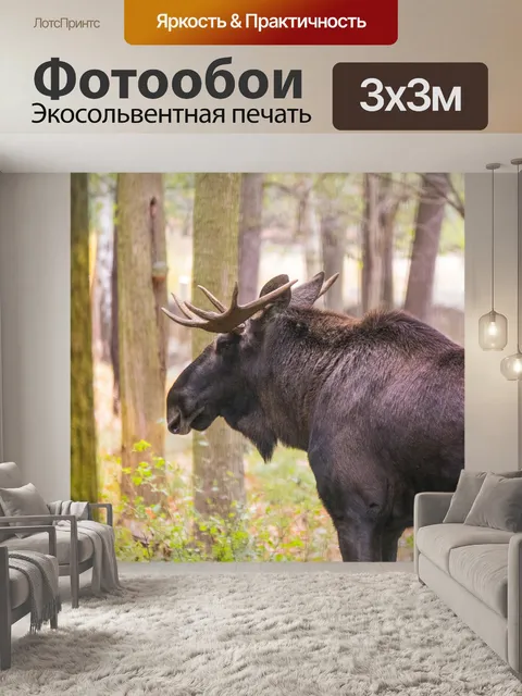 Фотообои Лось