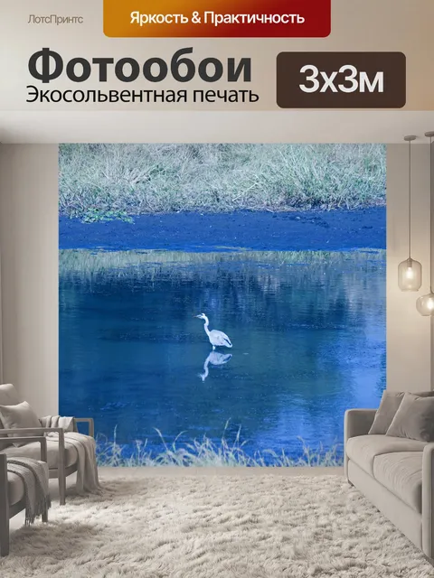 Фотообои серая цапля стоит на мелководье