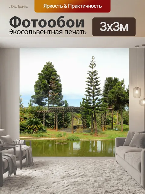 Фотообои Бразилиа