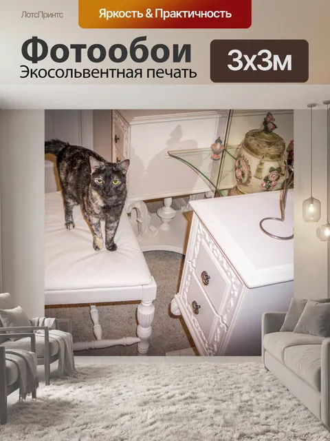 Фотообои Кошка