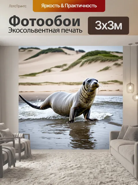 Фотообои изображение серого тюленя