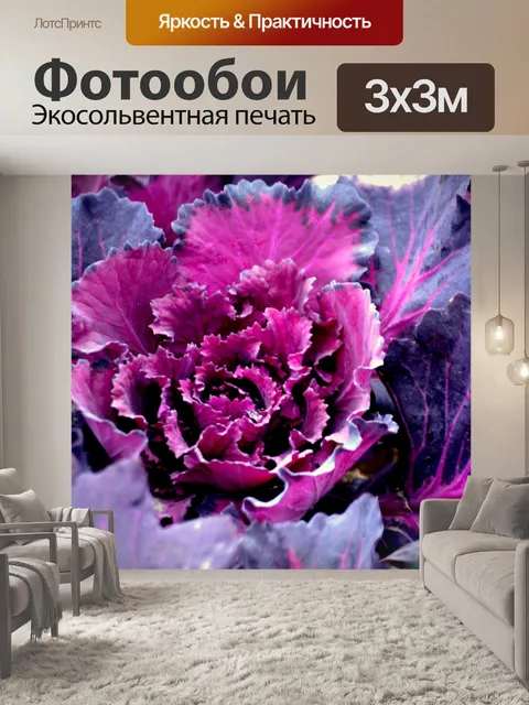 Фотообои Декоративная капуста
