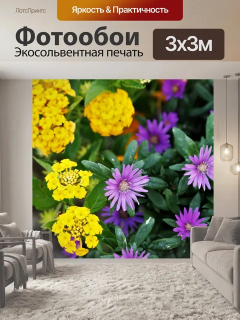 Фотообои Астры и Лантана