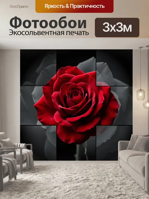 Фотообои Красная роза в черно-белой композиции