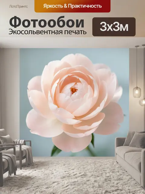 Фотообои Нежный розовый пион крупным планом