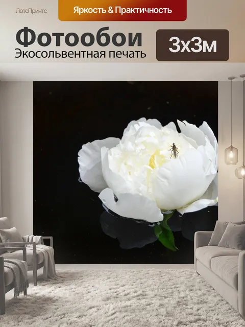 Фотообои Пион