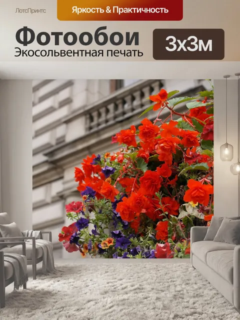 Фотообои Красный цветок