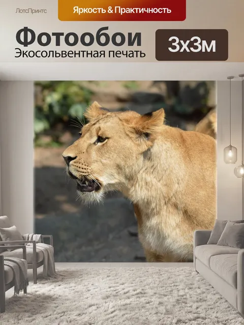 Фотообои Животное король 05