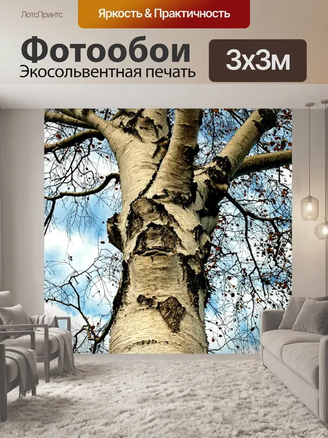 Фотообои Береза