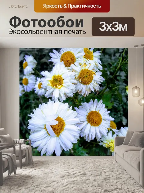 Фотообои Красивые цветы