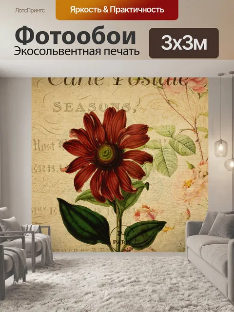 Фотообои Винтажная открытка с цветком эхинацеи