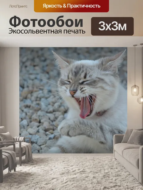Фотообои Кошка зевает, кошка, кошка