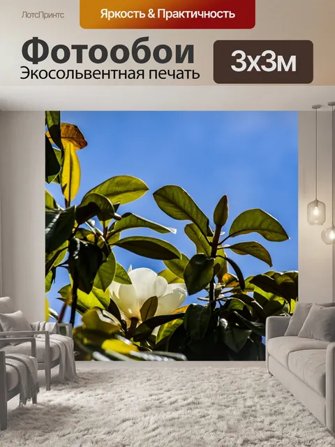 Фотообои Магнолия в цвету