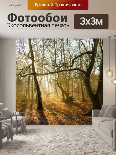 Фотообои Солнечный свет в лесу