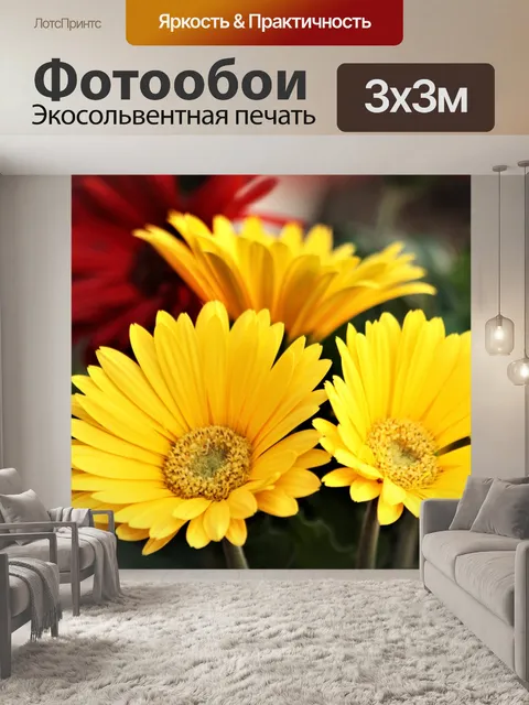 Фотообои Три желтых герберы