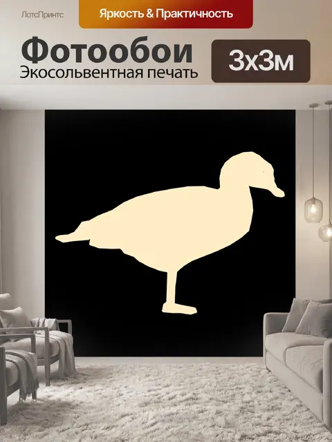 Фотообои белая утка