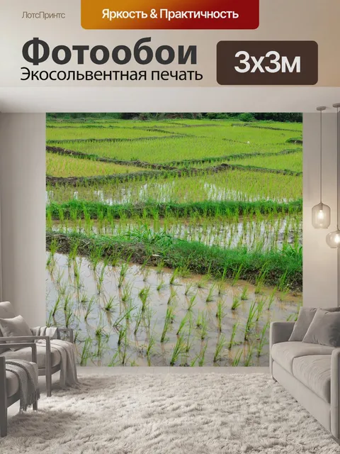 Фотообои Террасированные рисовые поля