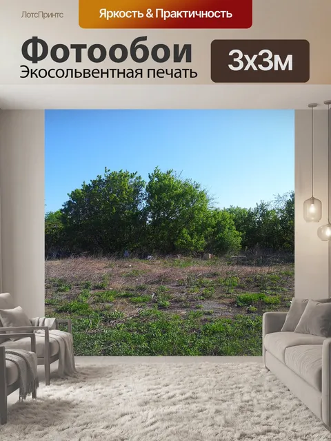 Фотообои Деревья