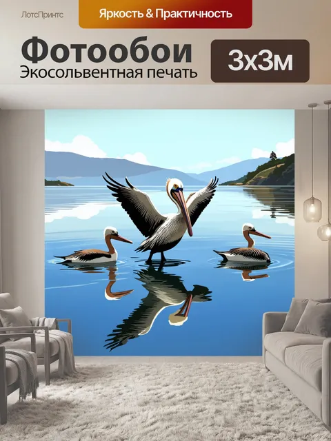 Фотообои пеликан, приземляющийся на спокойные воды залива, отражая свою фигуру и окружающий ландшафт