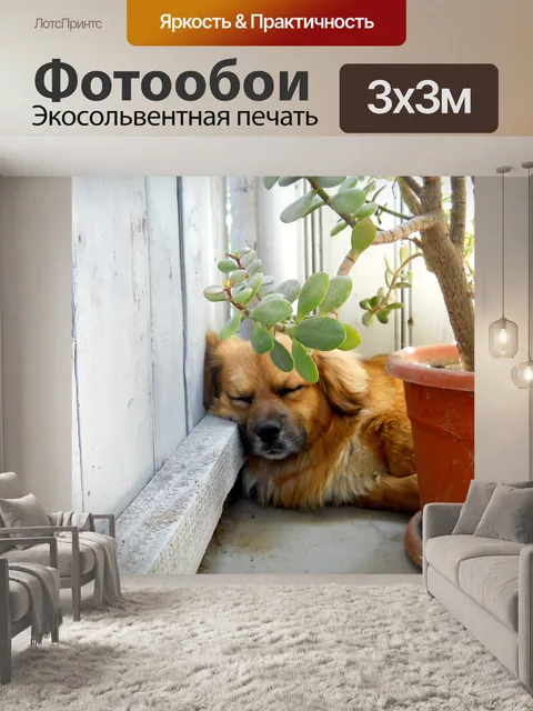Фотообои Спать