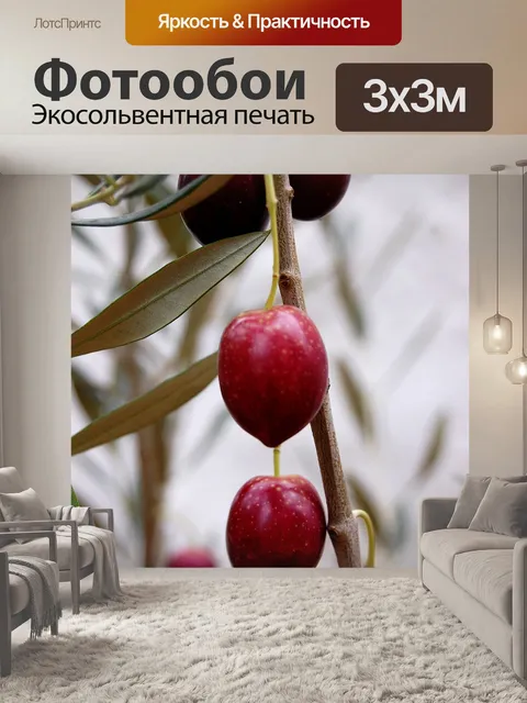 Фотообои Оливковый