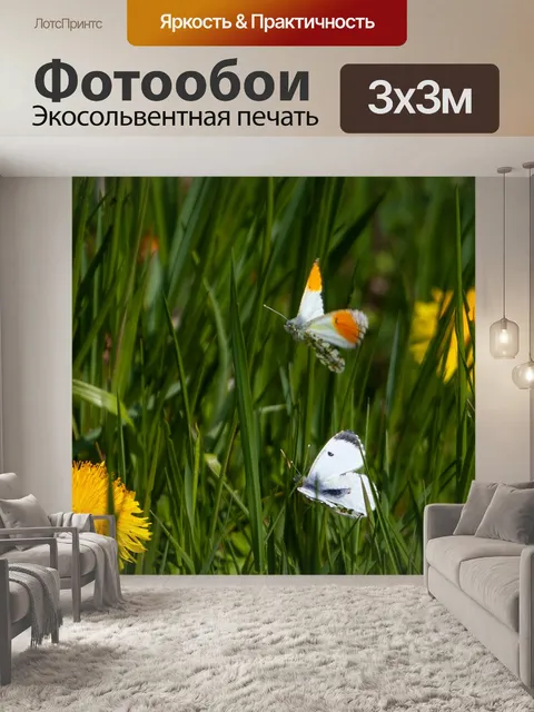 Фотообои Оранжевый совет бабочка