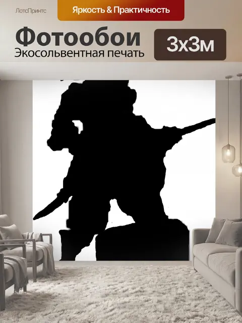 Фотообои Пират