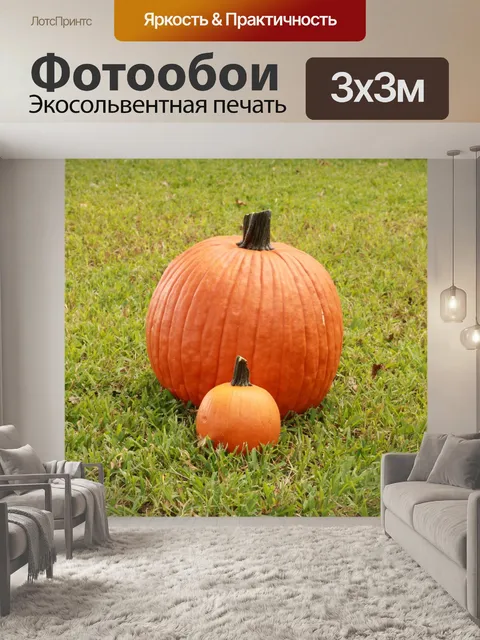 Фотообои Две тыквы в траве