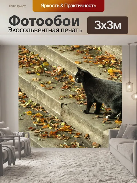 Фотообои Черная кошка