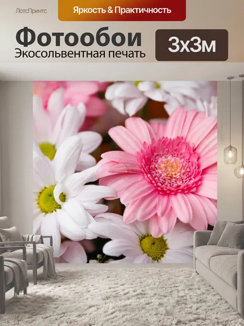 Фотообои гербер и хризантем