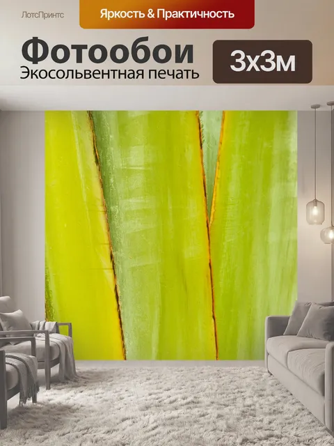 Фотообои Желтый лист пальмы