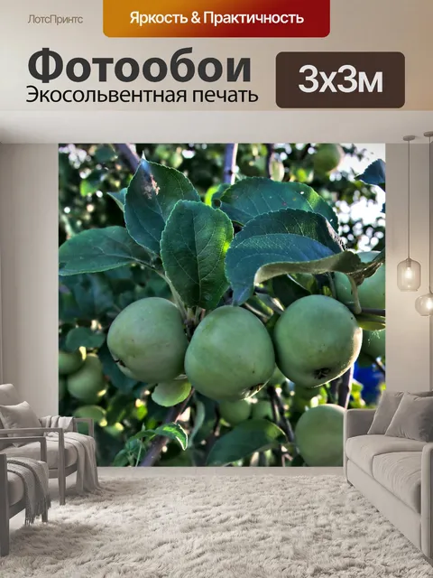 Фотообои Яблоко