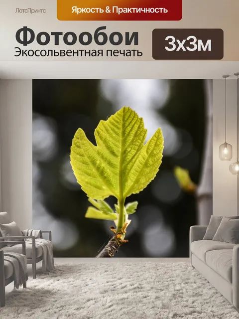 Фотообои Фиговый лист