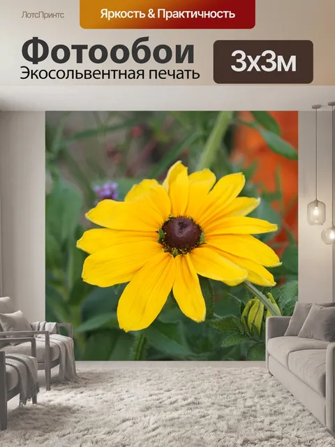 Фотообои Цветок по имени черноглазая Сьюзен