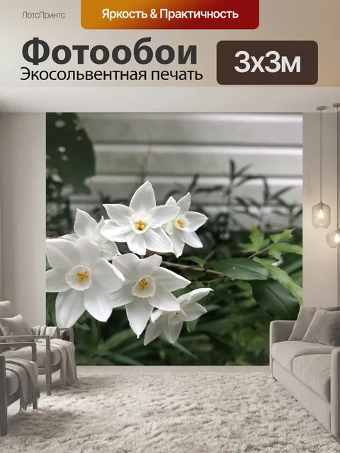Фотообои Цветок