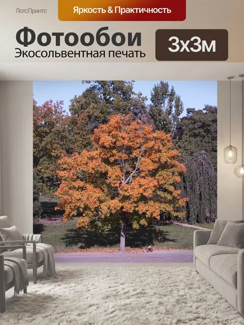 Фотообои Дерево