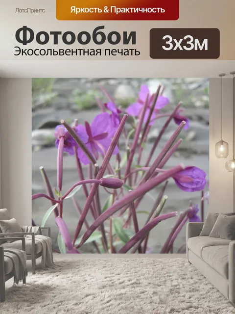 Фотообои Кипрей