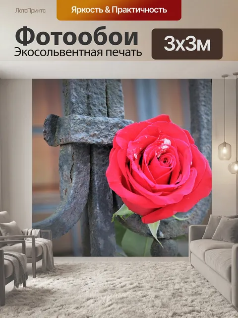 Фотообои Красная роза