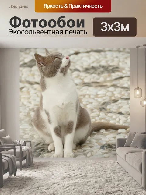 Фотообои Кошка